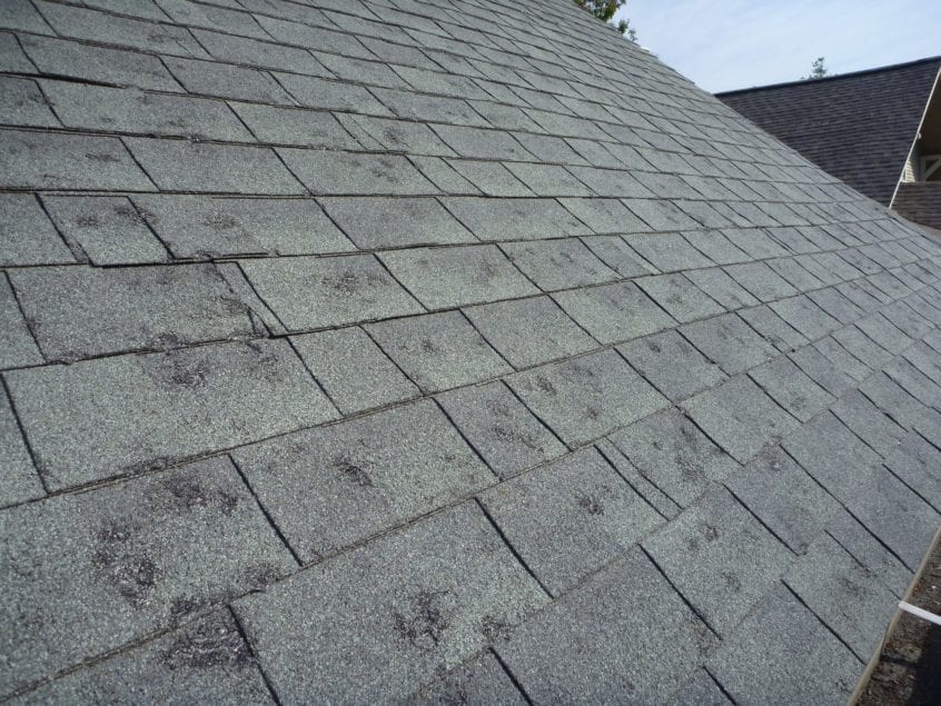 Damaged Shingle Roof