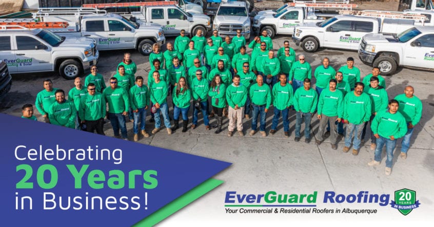 Celebrating 20 Years in Business